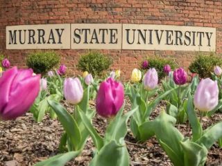 MSU